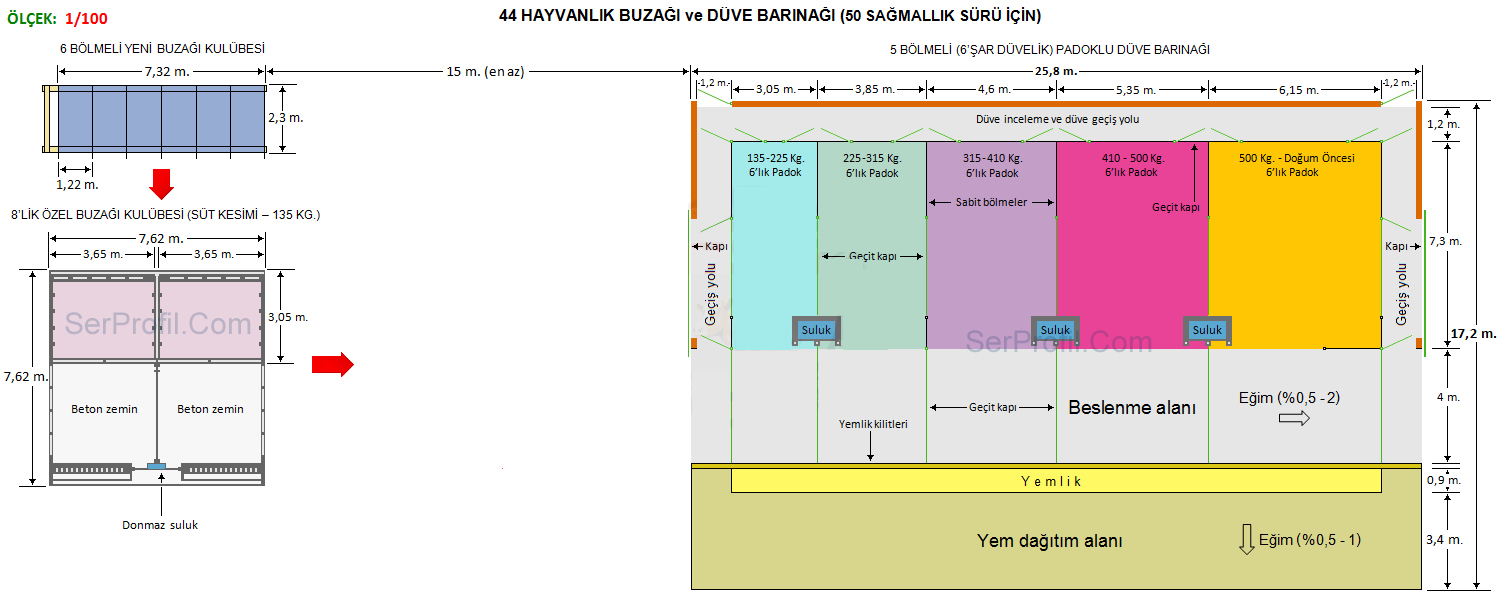 44 Hayvanlık Buzağı ve Padoklu Düve Barınak Planı (50 Sağmallık Sürü için)