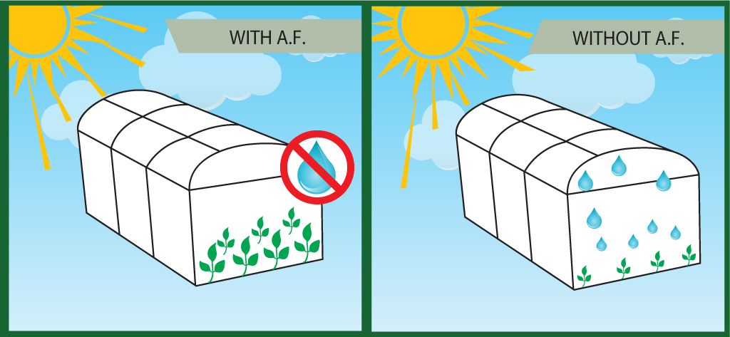 Sera Naylon, Naylon Sera Uygulamaları Sera Naylon, Naylon Sera Uygulamaları