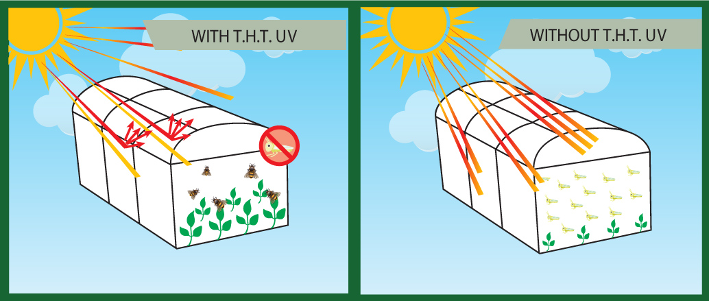 Sera Naylon, Naylon Sera Uygulamaları Sera Naylon, Naylon Sera Uygulamaları